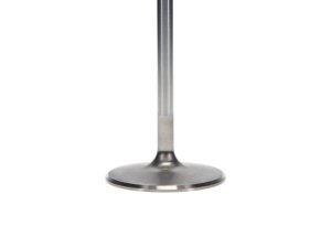 Dodge Viper Engine Intake Valve - Manley Performance - Race Master 2.020 Dia